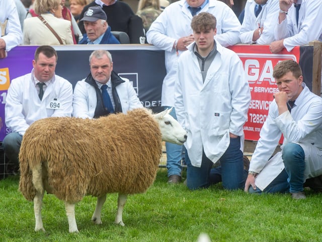 The Royal Highland Show Day 1
