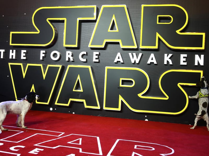 Another, perhaps surprising, entry from the most recent trilogy of films is Kylo. Named after (spoiler alert) the alter ego of Ben Solo, the villainous-yet-complex Kylo Ren, played by Adam Driver, was responsible for one of the most shocking moments in Star Wars history. If you've not seen it, we'll not give it away.