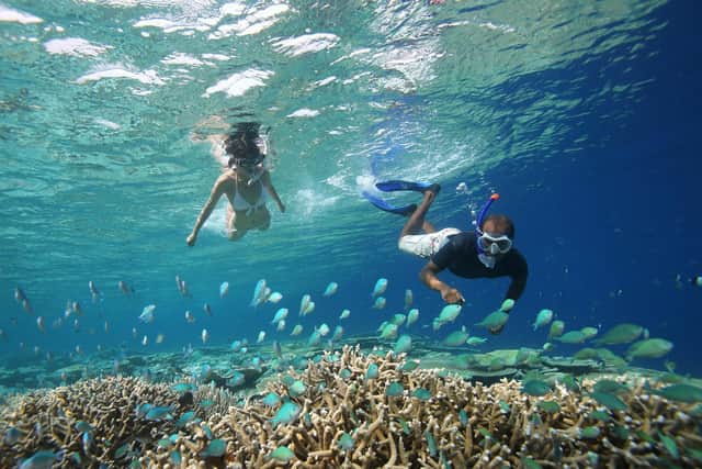 Snorkeling in the sea around the island. Pic: Contributed