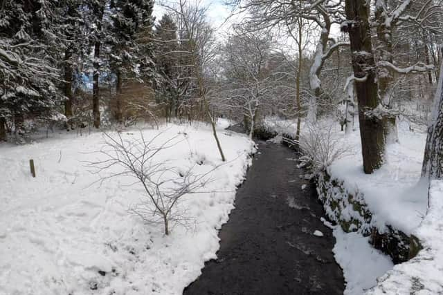 The burn in Hermitage of Braid