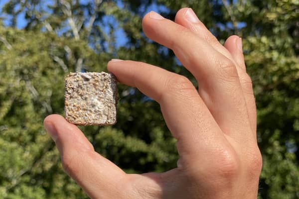 Founded in 2021 by its chief executive Toby Parkes and chief mycologist David Satori, Edinburgh-based Rhizocore Technologies has developed a 'first-of-its-kind' fungal pellet.