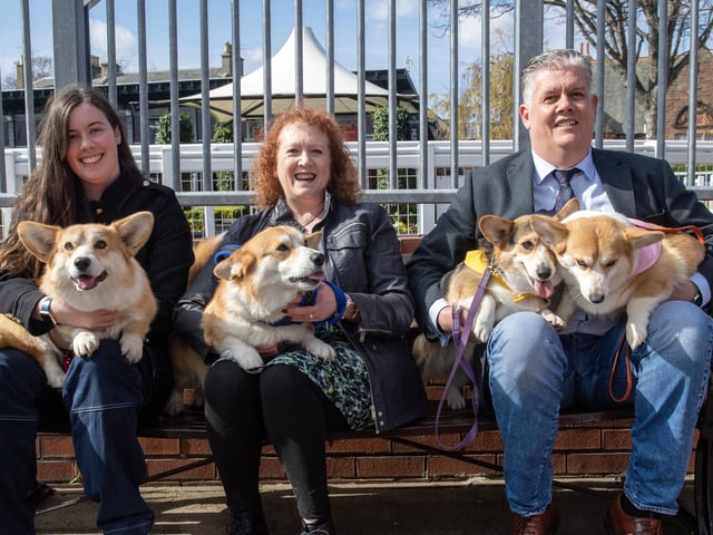 Participants wait to take part in the Corgi Derby.