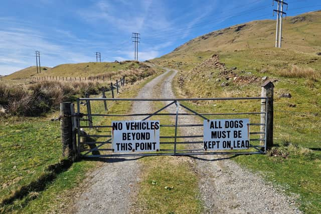 The estate track rises up the northside of the loch and deeper into the glen. PIC: Campsie.