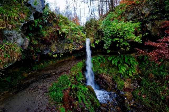 Paths leading to the Maspie Den were laid out as a showplace for the Falkland Estate in the 19th century. You can walk into the undercut and stand behind the waterfall, enjoying a scenic forest walk surrounded by mossy rocks - a very enchanting experience.