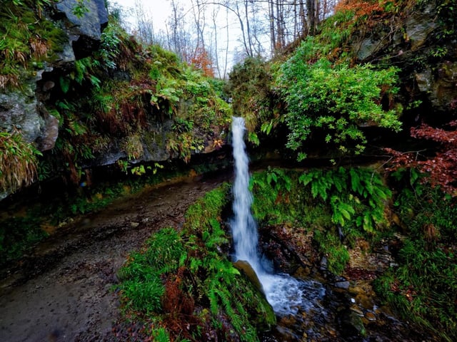 Paths leading to the Maspie Den were laid out as a showplace for the Falkland Estate in the 19th century. You can walk into the undercut and stand behind the waterfall, enjoying a scenic forest walk surrounded by mossy rocks - a very enchanting experience.