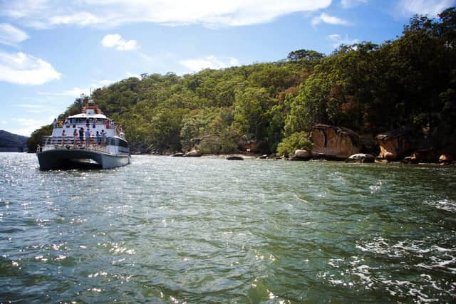 Aboriginal rock carvings can be seen from the boat at Eagle Rock near Broken Bay on the Hawkesbury River. Pic: riverboatpostman.com.au