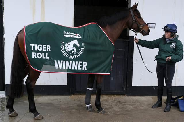 Two-time Grand National winner Tiger Roll has been withdrawn from this year's race. Picture: Brian Lawless/PA Wire