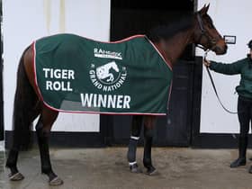 Two-time Grand National winner Tiger Roll has been withdrawn from this year's race. Picture: Brian Lawless/PA Wire