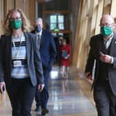 Scottish Green Party Co-Leaders Patrick Harvie and Lorna Slater at the Scottish Parliament (Picture: Fraser Bremner/Pool/AFP via Getty Images)