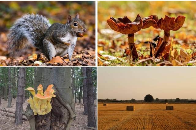 Autumnal photos from our readers.