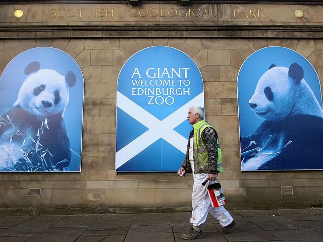 A maintenance worker helps with final preparations at Edinburgh Zoo ahead of the arrival of giant pandas Tian Tian and Yang Guang, on December 2001.
