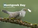 The word 'Gowk' refers to a Cuckoo Bird which is considered an emblem of stupidity hence why it is used in Scotland's very own April Fools Day i.e., Huntigowk Day.
