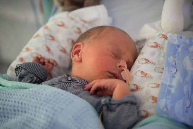 Baby-Fredrick