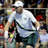 Andy Murray lost his first match of the year in Adelaide.