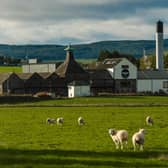 Initial works to restore and conserve peatland near the Ardmore distillery, which was established in 1898 by Adam Teacher, are due to commence in November.