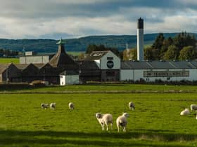 Initial works to restore and conserve peatland near the Ardmore distillery, which was established in 1898 by Adam Teacher, are due to commence in November.