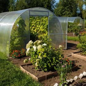 The raised beds grow everything from asparagus and chillies to heritage tomatoes. Picture: Getty
