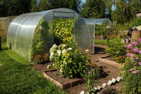 The raised beds grow everything from asparagus and chillies to heritage tomatoes. Picture: Getty