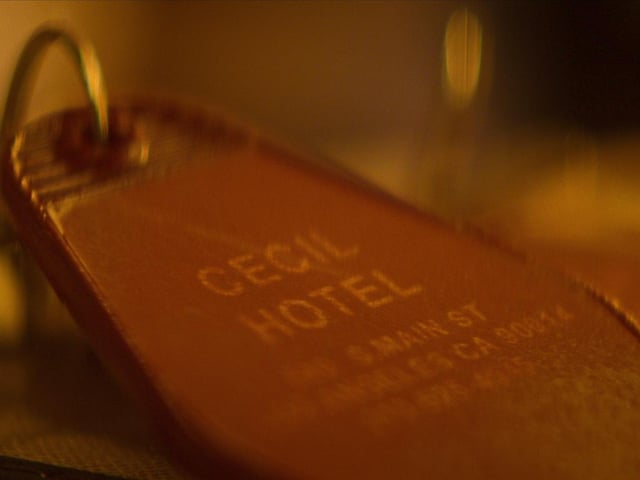 Crime Scene follows Los Angeles' notorious Cecil Hotel as it grows in infamy when guest Elisa Lam goes missing mysteriously.