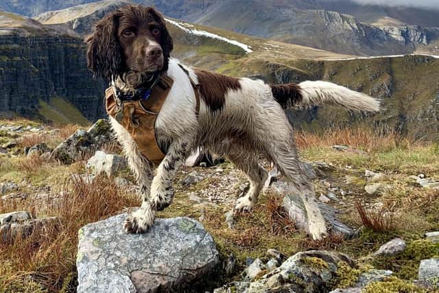 Monty Finishes his last Munro