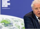 Sir David said he was 'pleased' The Green Planet was being premiered in Glasgow during COP26.