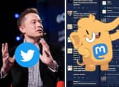 Mastodon is the social network being hailed as a "Twitter alternative" by some.