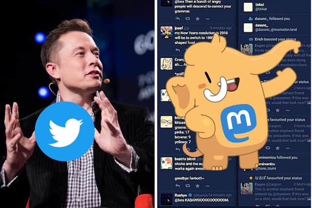 Mastodon is the social network being hailed as a "Twitter alternative" by some.