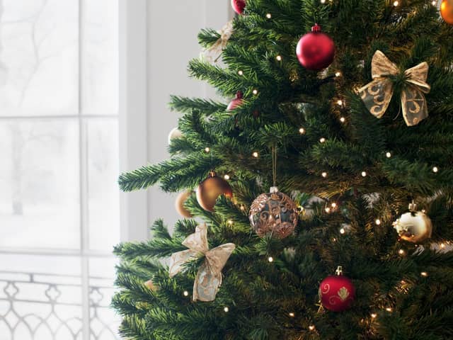 With the presents opened and the food eaten, it's time to take down your Christmas tree soon. Photo: Tom Merton / Photo Images / Canva Pro.