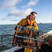 Stewart Pearson at sea catching lobsters.