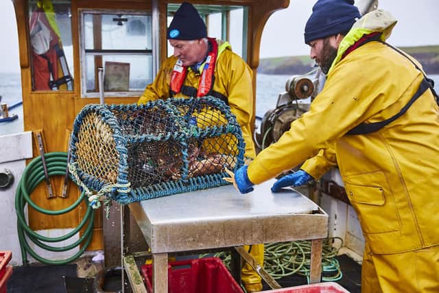 Brown crab caught in Shetland is the only brown crab catch in the world to be certified as sustainable by the Marine stewardship Council, thanks to the local fishermen's pioneering approach to safeguarding stocks. Picture: David Loftus