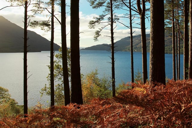 The Trossachs refers to an area of wooded glens and lochs located to the east of Ben Lomond in the Stirling council area. This includes the iconic Loch Lomond which has featured as the subject in famous Scottish songs.