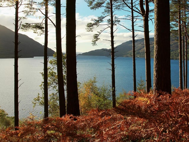 The Trossachs refers to an area of wooded glens and lochs located to the east of Ben Lomond in the Stirling council area. This includes the iconic Loch Lomond which has featured as the subject in famous Scottish songs.