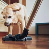 Cleaning can be challenging when you're a pet owner.