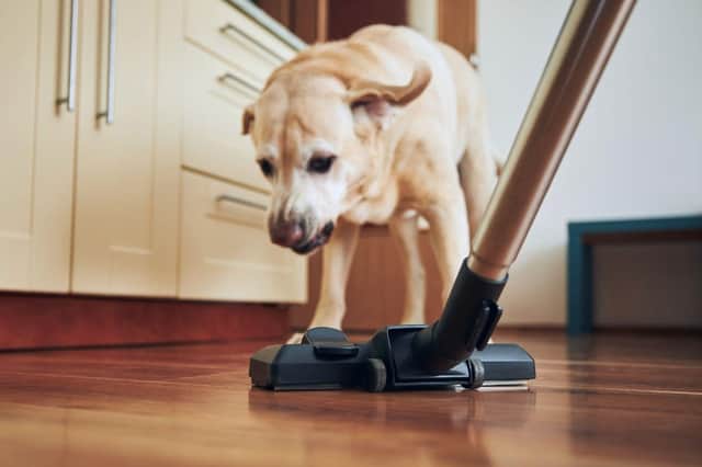 Cleaning can be challenging when you're a pet owner.