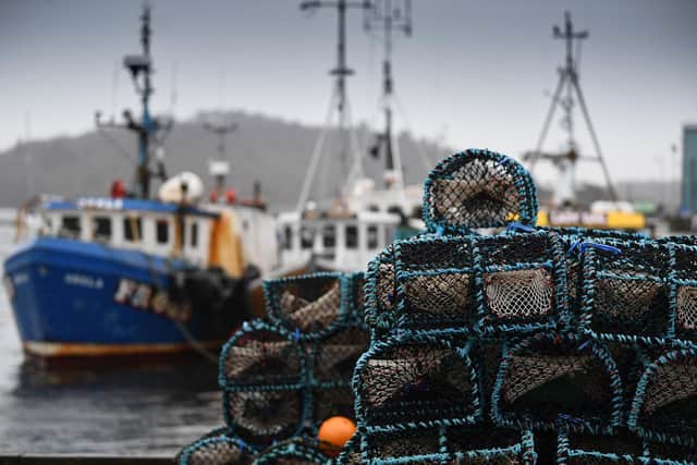 If the SNP have their way, Scottish fishing would once again have to abide by the Common Fisheries Policy, says Douglas Ross (Picture: Jeff J Mitchell/Getty Images)