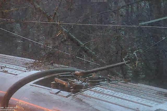 A tree caught fire after being entangled in a ScotRail train pantograph and overhead power lines at Dumbarton. (Photo by ScotRail)