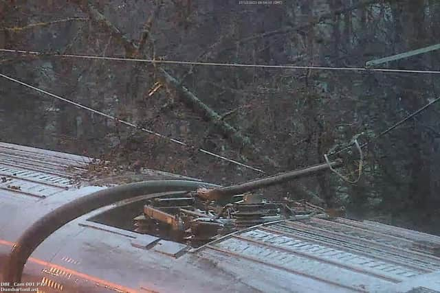 A tree caught fire after being entangled in a ScotRail train pantograph and overhead power lines at Dumbarton. (Photo by ScotRail)