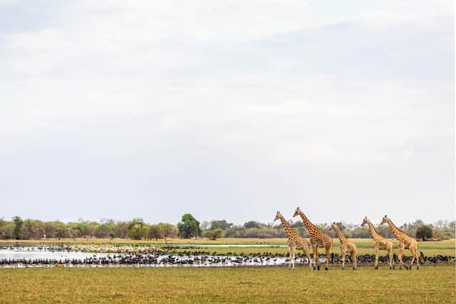 Zakouma National Park in Chad. Pic: BBC Studios/Kiri Cashell/PA.