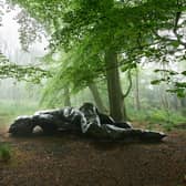 I Lay Here For You, by Tracey Emin PIC: Alan Pollock Morris / Jupiter Artland