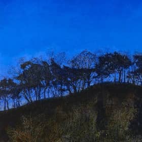 Detail from The Amazing Clarity of the Night Skies by Victoria Crowe