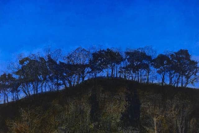 Detail from The Amazing Clarity of the Night Skies by Victoria Crowe