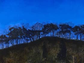 Detail from The Amazing Clarity of the Night Skies by Victoria Crowe