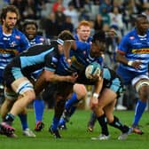 Seabelo Senatla of DHL Stormers during the United Rugby Championship match between DHL Stormers and Glasgow Warriors at DHL Stadium on April 22, 2022 in Cape Town, South Africa. (Photo by Grant Pitcher/Gallo Images/Getty Images)