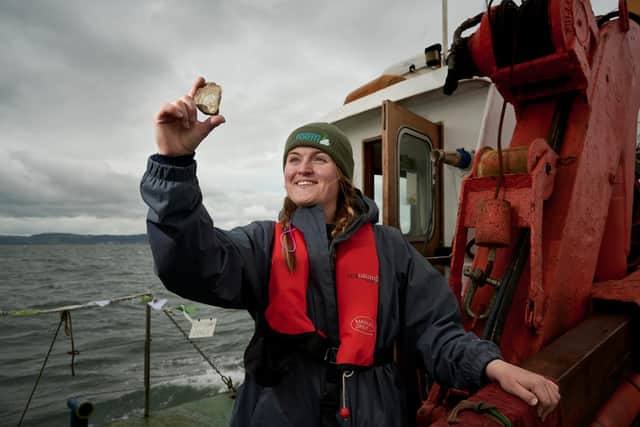 Native oysters are back in the Firth of Forth for the first time in 100 years, thanks to the groundbreaking Restoration Forth project -- Emmy Cooper-Young, from Heriot-Watt University, was part of the team deploying the molluscs in their new home. Picture: Callum Bennetts/Maverick