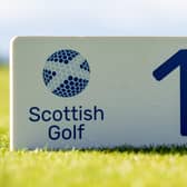 Scottish Golf is aiming to raise an additional £250,000 from the money it gets through a levy paid by members of affiliated clubs. PIcture: Scottish Golf