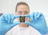 The PMS-IC says it looks forward to helping foster innovative research that could ultimately help patients. Picture: Lewis J Houghton.