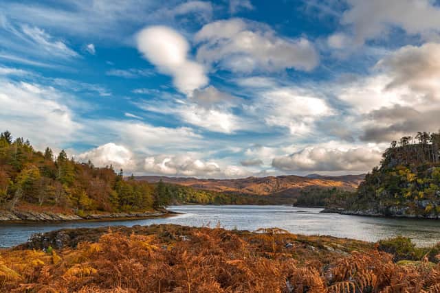 Deer Island on Loch Moidart in the west Highlands is now up for sale at starting bids of £80,000. PIC: Caroline Legg/CC