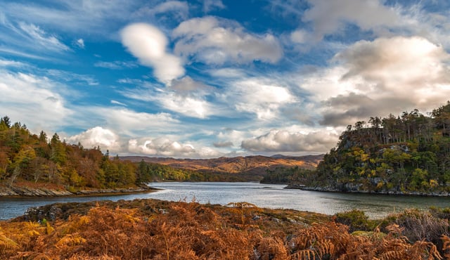 Deer Island on Loch Moidart in the west Highlands is now up for sale at starting bids of £80,000. PIC: Caroline Legg/CC