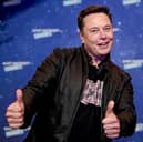 Elon Musk has admitted his time in charge of Twitter has been difficult (Picture: Britta Pedersen/pool/Getty Images)