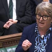 Christine speaking at Westminster